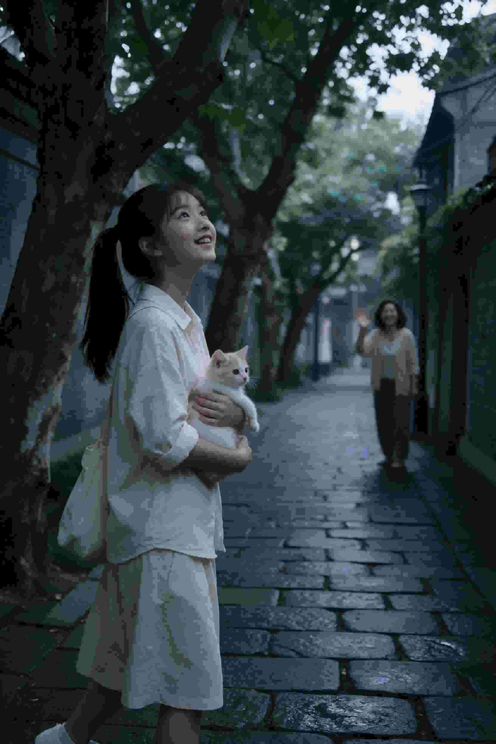 二十不惑2
